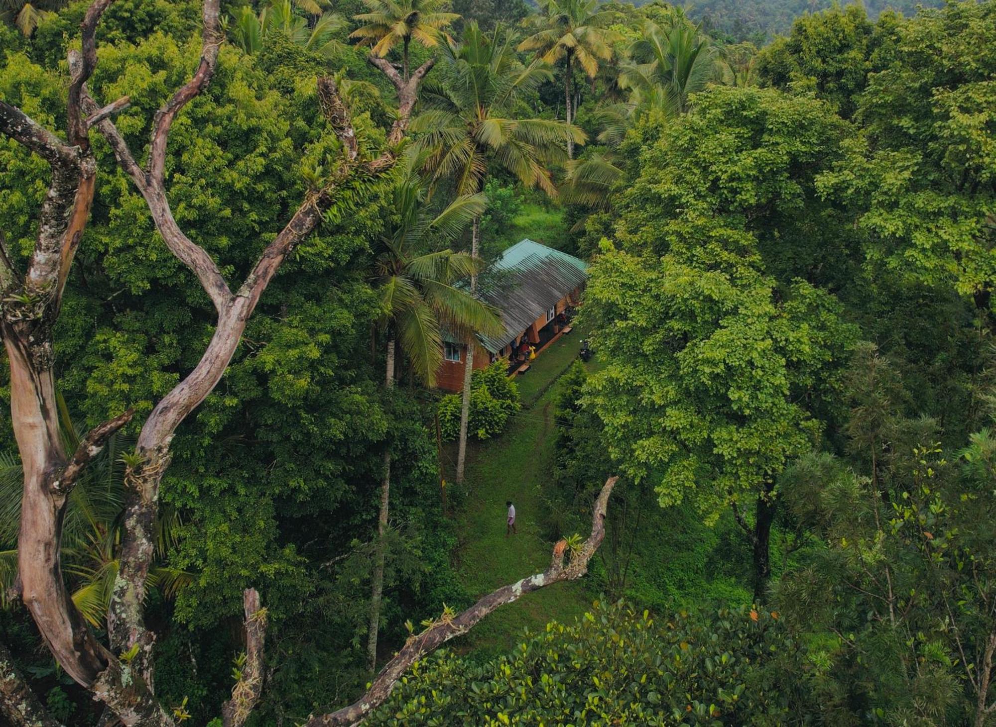 Punarjani Ayurvedic Resorts Ramakkalmedu エクステリア 写真