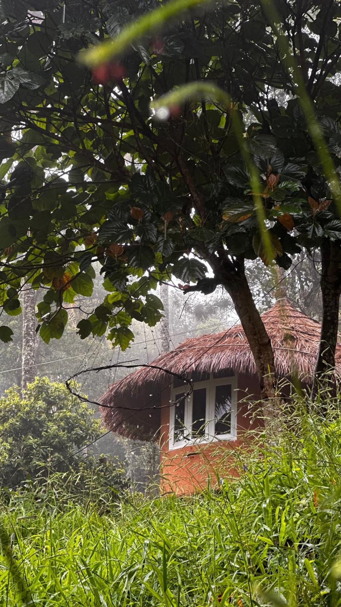 Punarjani Ayurvedic Resorts Ramakkalmedu エクステリア 写真