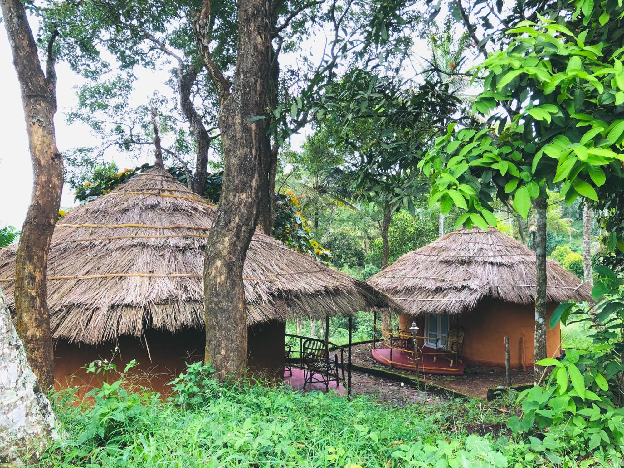 Punarjani Ayurvedic Resorts Ramakkalmedu エクステリア 写真
