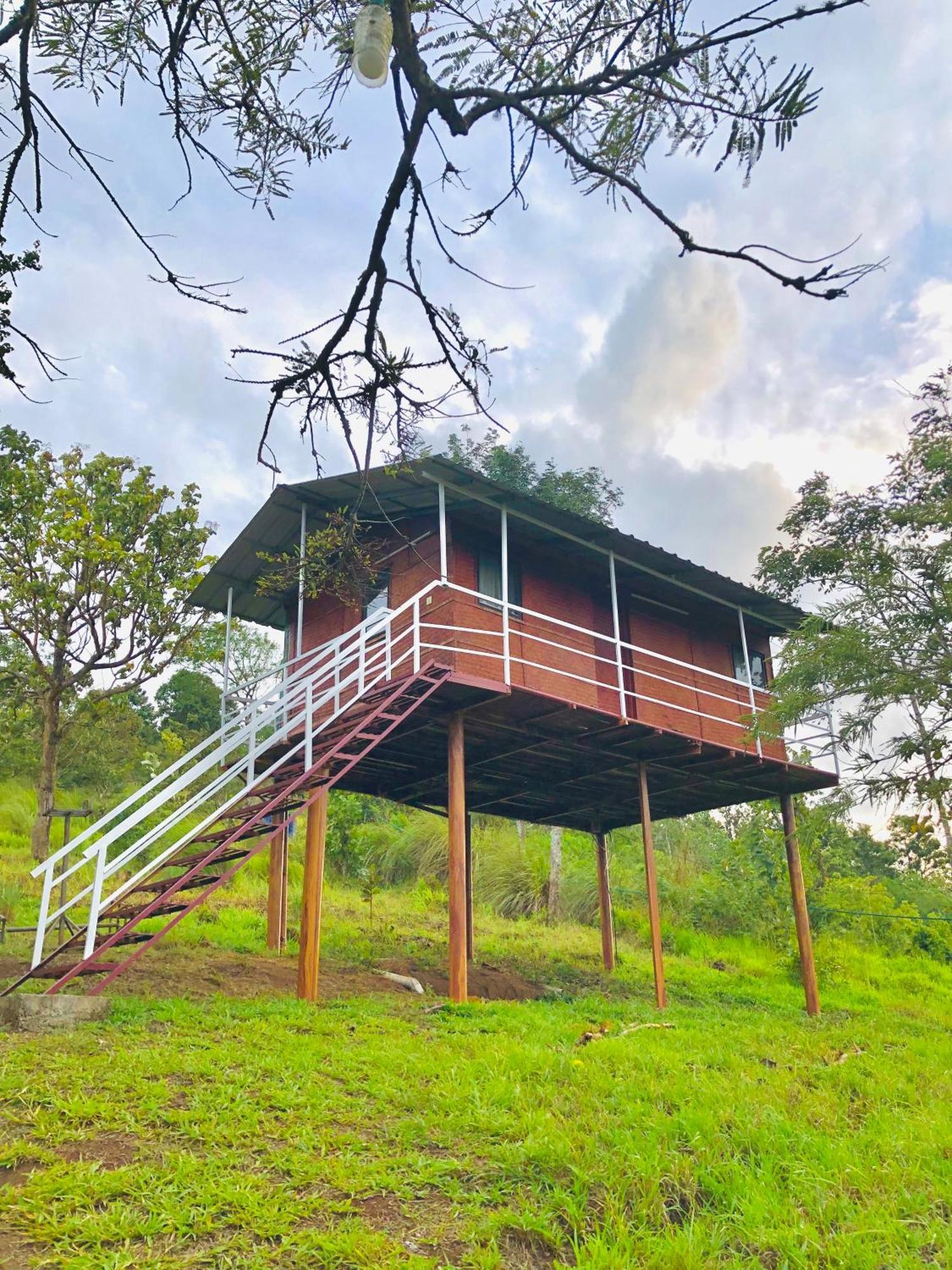 Punarjani Ayurvedic Resorts Ramakkalmedu エクステリア 写真